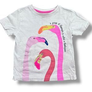Mini Boden Pink Flamingo Appliqué Flamboyance Facts Short Sleeve Shirt Size 4-5Y